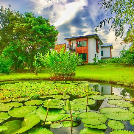 雲起軒民宿 Cloudscape B&B Цзянь Екстер'єр фото